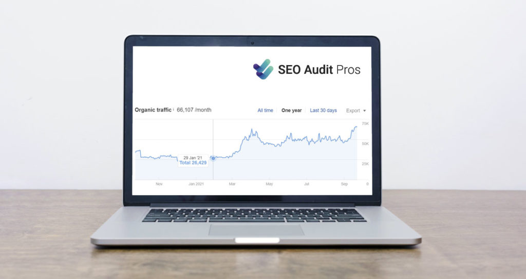 seo audit case studies